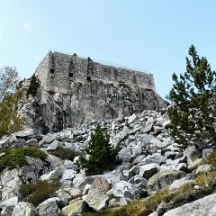 P1030223 (Copier)